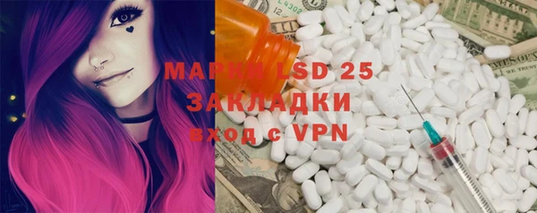 PSILOCYBIN Михайлов