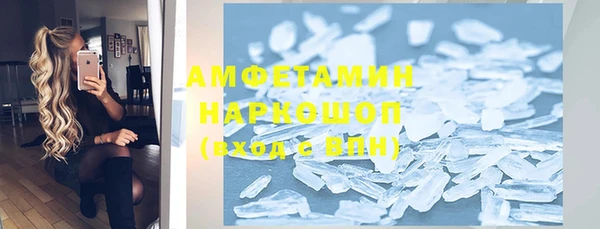 прущие грибы Медвежьегорск