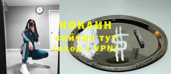 гидра Михайловка