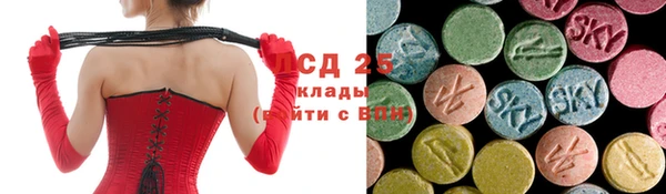 PSILOCYBIN Михайлов