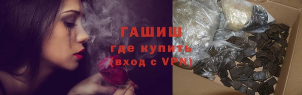 стаф Медногорск