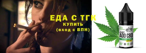 стаф Медногорск