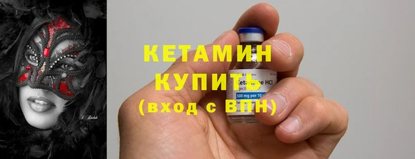 прущие грибы Медвежьегорск