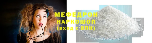прущие грибы Медвежьегорск