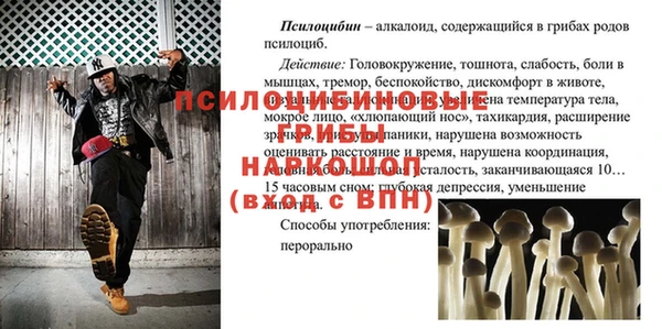 гашик Михайловск