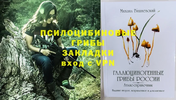 гашик Михайловск